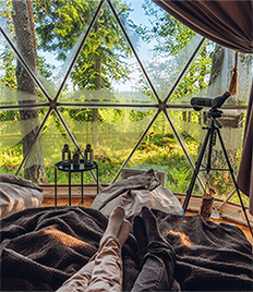 Скидка 50% на уютный отдых в комфортном кемпинге «Гнездовье»!