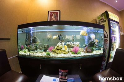 Комплексная мойка «Техно двор» на Ложевой 130А со скидкой 50%! Комплексная мойка «Техно двор» на Ложевой 130А со скидкой 50%!