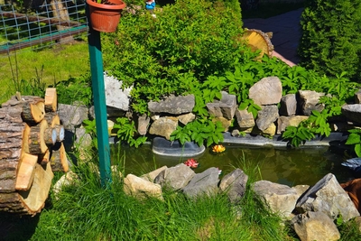 Отдых в русской бане со скидкой до 18%