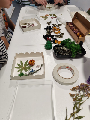 Выставка тропических бабочек и авторские мастер‑классы со скидкой до 28% Выставка тропических бабочек и авторские мастер‑классы со скидкой до 28%