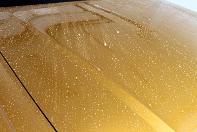 Студия «Престиж» (PRESTIGE) дарит скидку 50% на химчистку и комплексы! Студия «Престиж» (PRESTIGE) дарит скидку 50% на химчистку и комплексы!